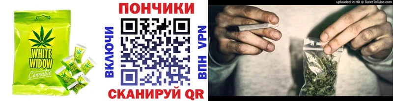 hydra сайт  Елизово  Cannafood конопля 