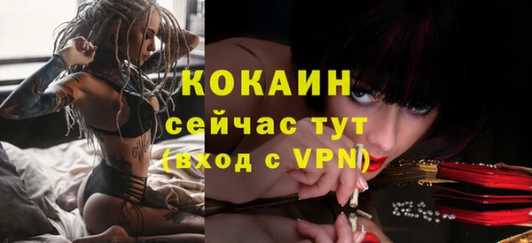 шишки Белоозёрский