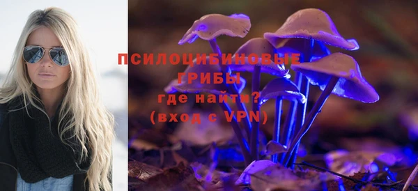 шишки Белоозёрский