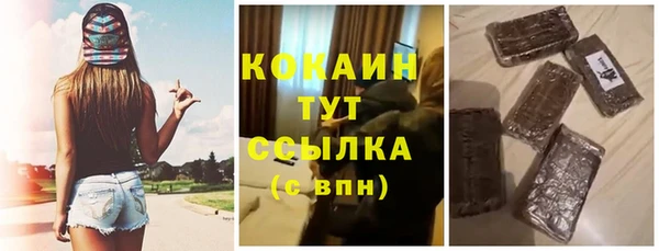 шишки Белоозёрский