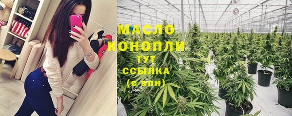 шишки Белоозёрский