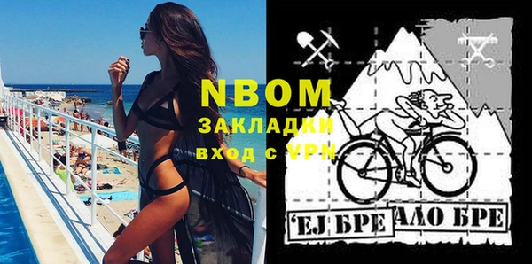 шишки Белоозёрский