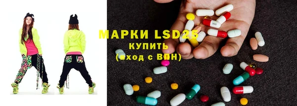 шишки Белоозёрский