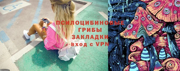 шишки Белоозёрский