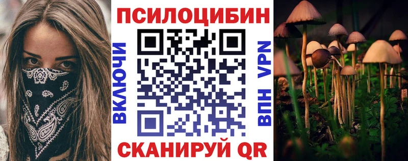 ссылка на мегу ТОР  Елизово  Галлюциногенные грибы мухоморы 